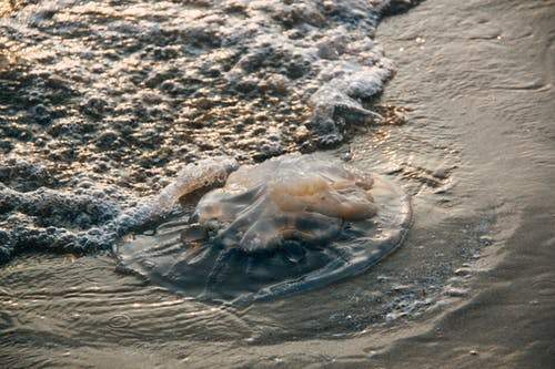 Combat Wrinkles with A Mud Mask