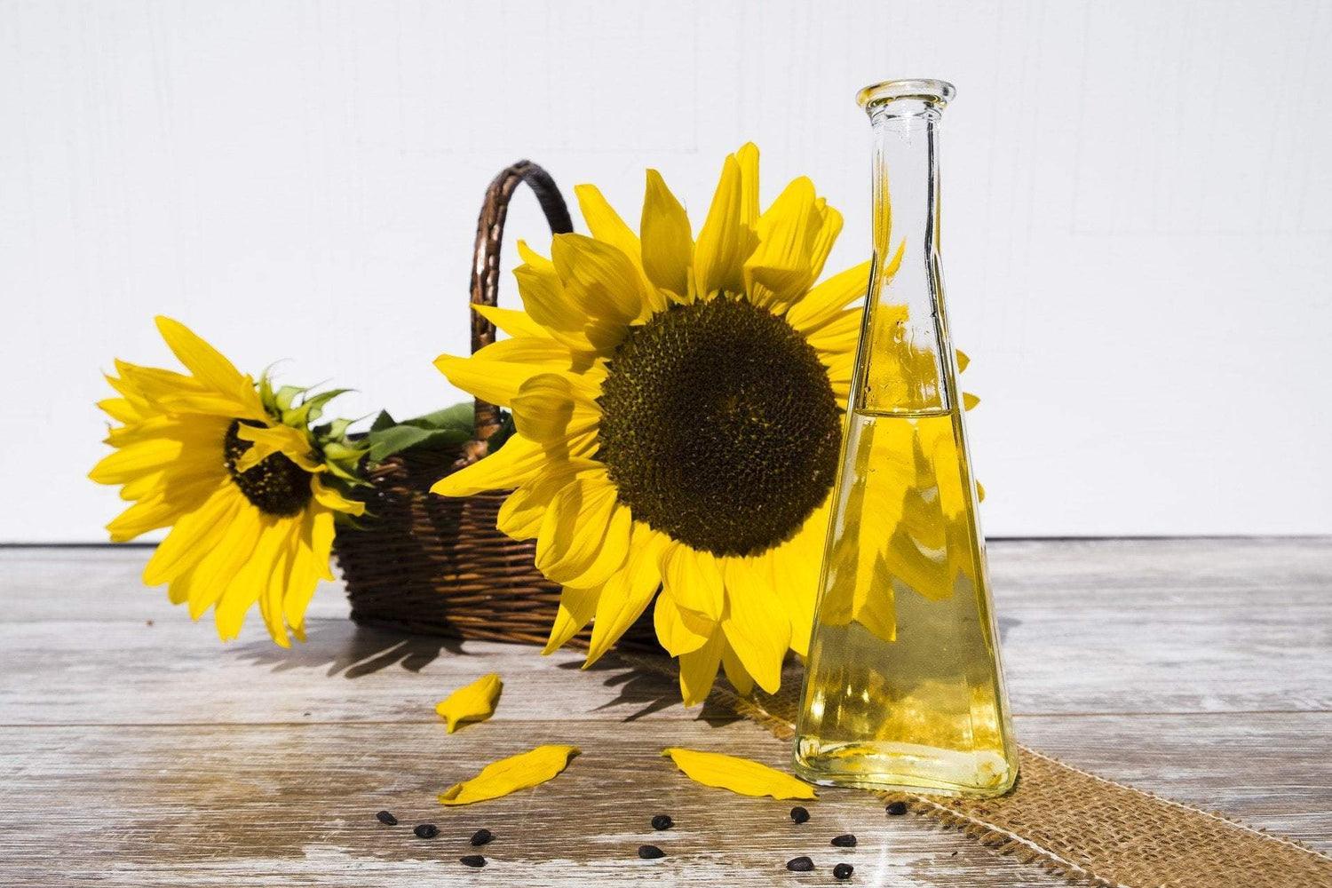 Sunflower Seed Oil for Eczema swissbotany
